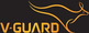 V-Guard Glass Industries