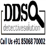 DDS Detective Solution DDS Detective Solution
