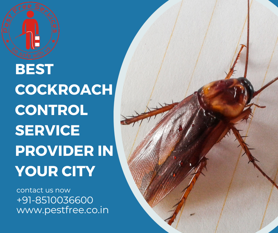 Cockroach Control Service Cockroach Control Service