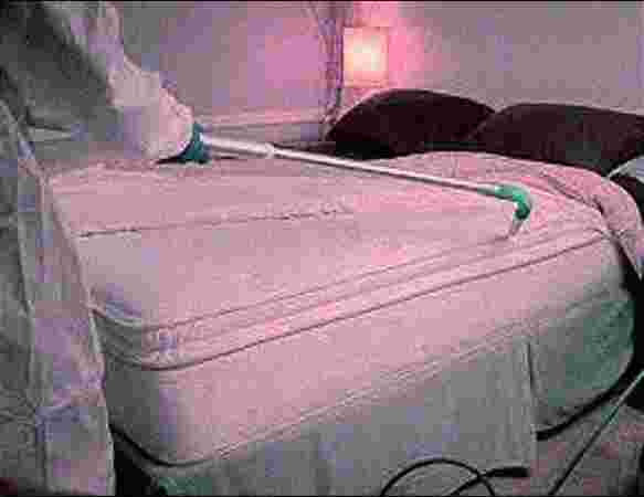 Bedbugs Treatment Bedbugs Treatment