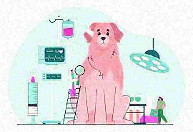 Diagnostics