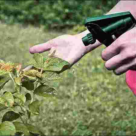 Herbal and Organic Pest Control Herbal and Organic Pest Control