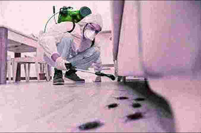 Home Pest Control Treatment Home Pest Control Treatment