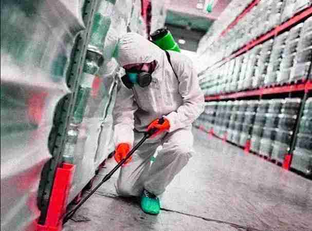vidit pest control delhi vidit pest control delhi