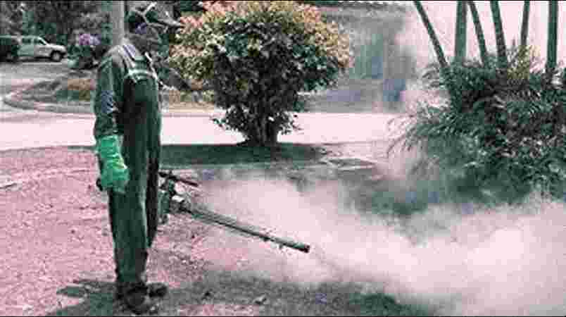 Mosquito Treatment Mosquito Treatment