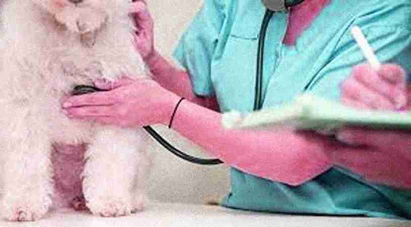 Physical Examinations
