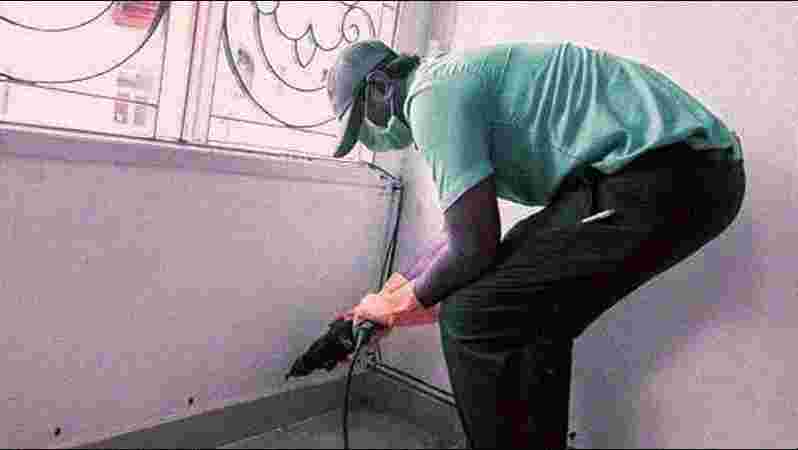 Post-Construction Pest Control Post-Construction Pest Control