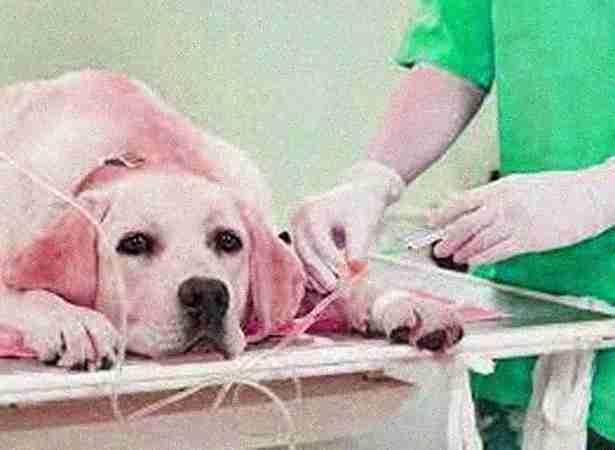 Surgery Surgery