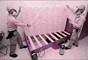 Bedbug Control in Delhi