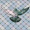 Bird Control in Delhi