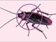 Cockroach Treatment in Delhi
