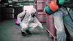 Factory Pest Control in Delhi