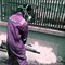 Fumigation Services in Delhi