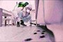 Home Pest Control Treatment in Delhi