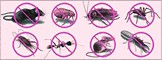 Termite Control in Delhi